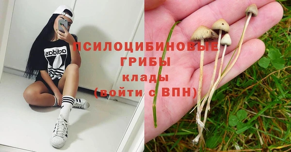 трава Алексеевка