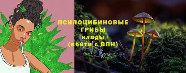 прущий лед Абдулино