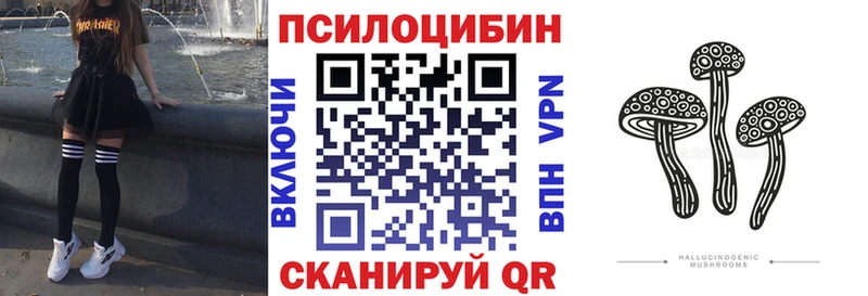 где купить   Гусь-Хрустальный  Галлюциногенные грибы Psilocybe 